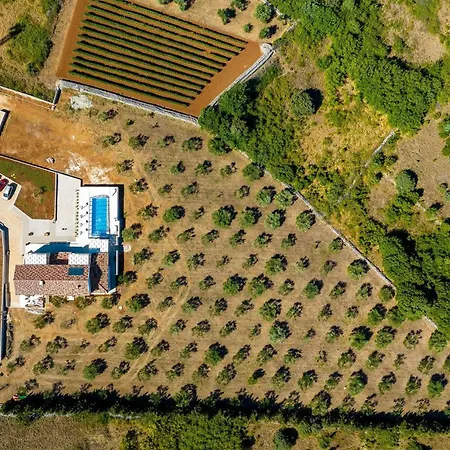 Tesoro * Zaton (Zadar)